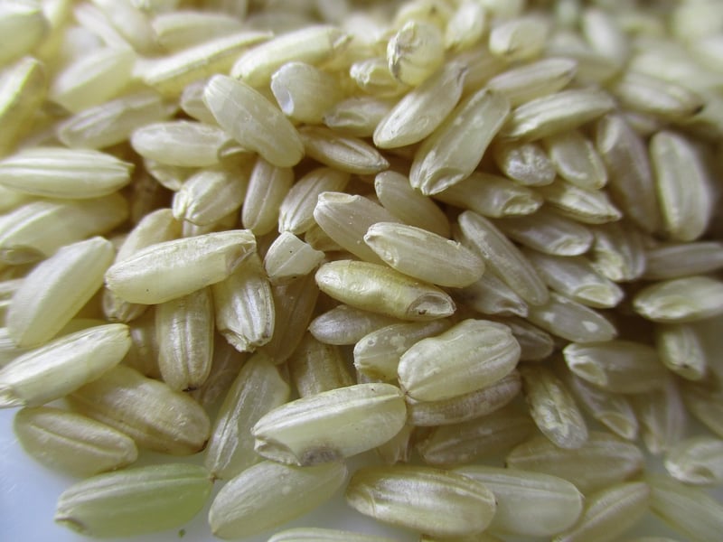 Creamy Mushroom Risotto